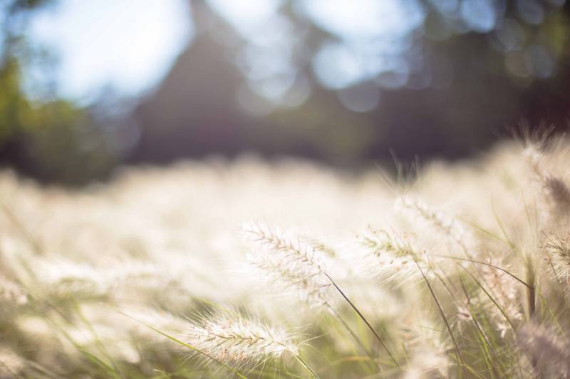 L'été est là! Pensez à la révision de votre climation avec les établissements Mery